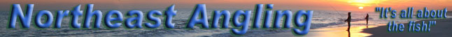 striped bass fishing